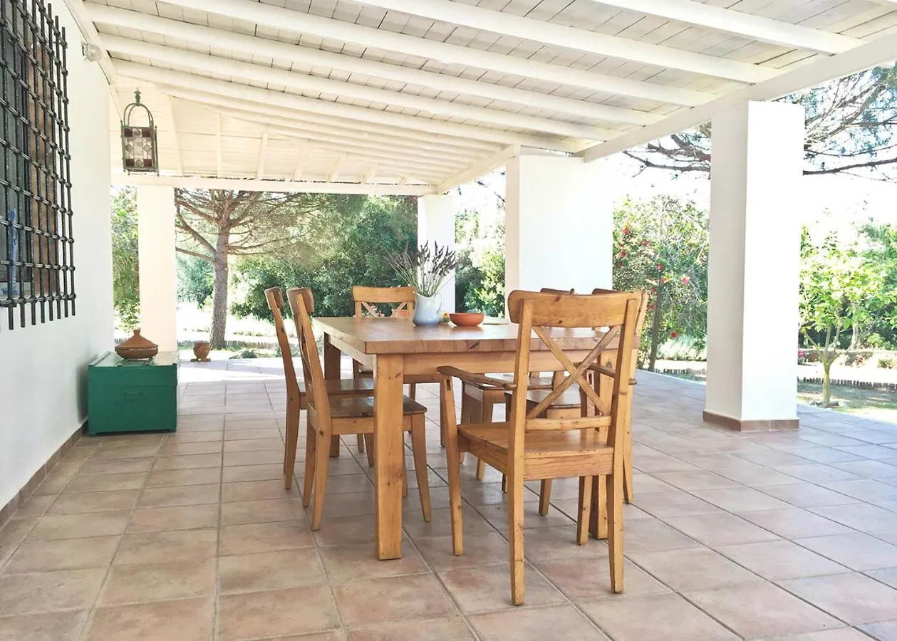 Olive Bay Beach House Ammouliani Greece